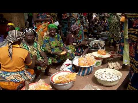 LET'S SEED THE FUTURE