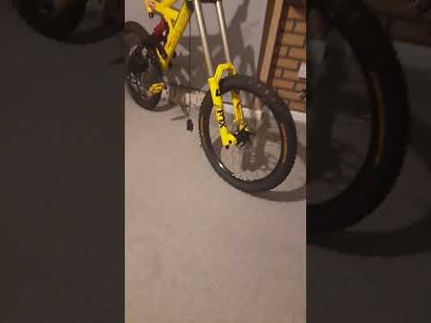 super fox 40s