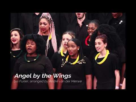 Angel by the Wings - Stellenbosch University Choir