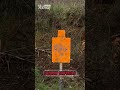 Personal Defense Lunchbox More Than Just A Meal Shorts Shortvideo