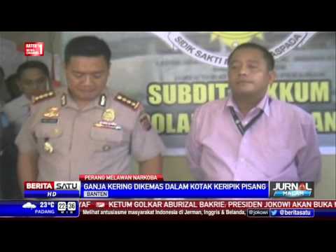 Patogen perempuan yang kuat Nama cream untuk pembesaran penis