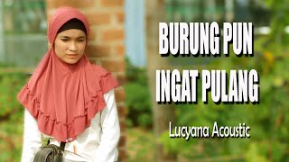 Download lagu Burung Pun Ingat Pulang - Lucyana Cover mp3