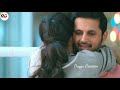 New Whatsapp Status Video 2020 Tum Bin Na Hum Ji Sakenge Romantic Status