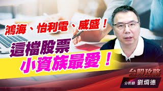 鴻海、怡利電、威盛！這檔股票小資族最愛！｜台股攻略｜劉烱德 (圖)