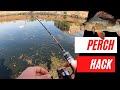 How to catch Perch - The EASY way
