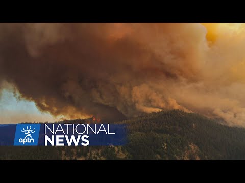 First Nation leaders call on B.C. to take immediate action to protect old-growth trees | APTN News