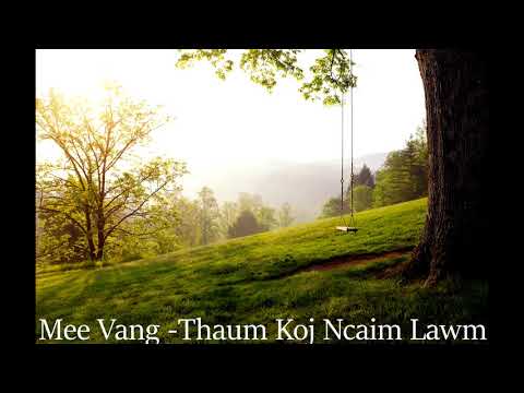 Mee Vang - Thaum Koj Ncaim Lawm (Dark Tales)