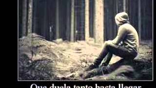 j.d natasha lagrimas