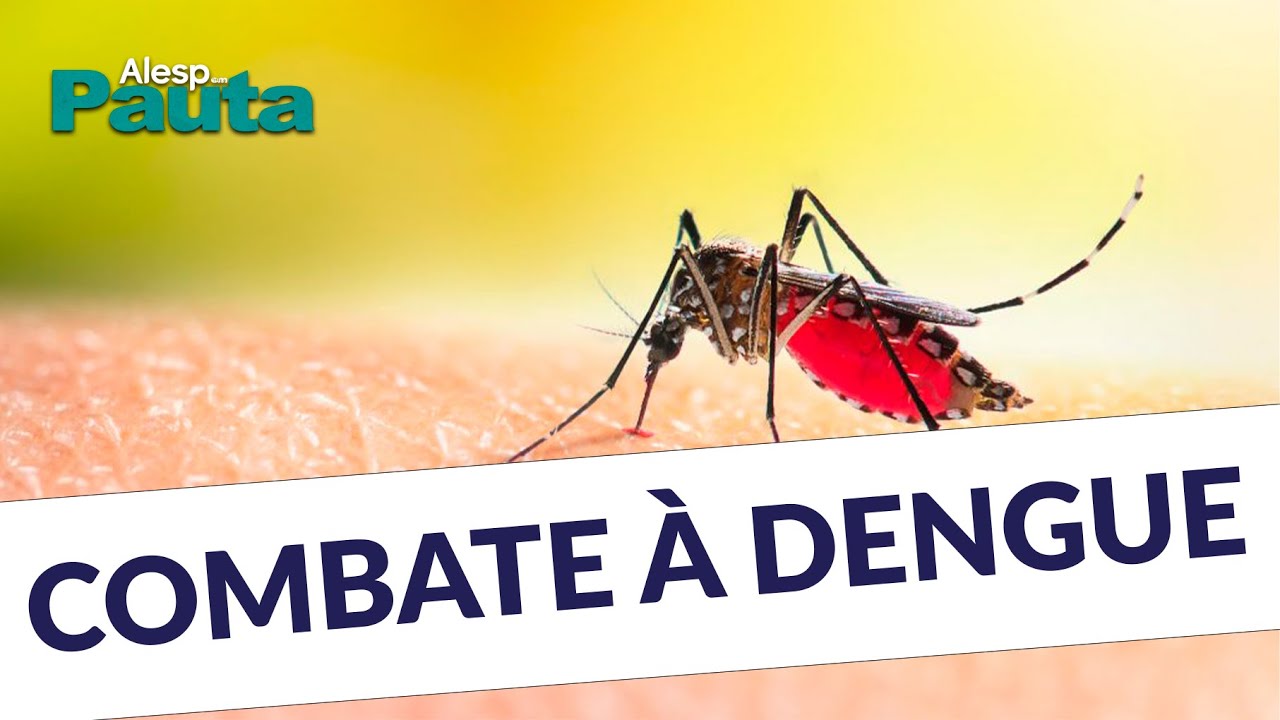 Alesp em Pauta dá dicas no combate à dengue