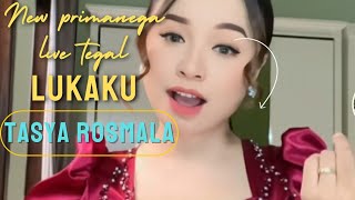 Download lagu SEBELUM KAU KEMBALI PADAKU - LUKAKU - TASYA ROSMALA - LIVE TEGAL (  MUSIC STUDIO ) #lukaku mp3