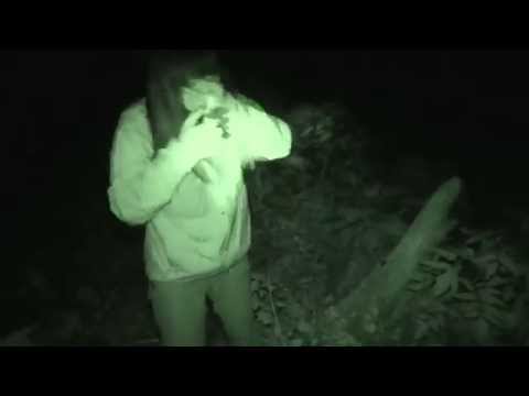 閲覧禁止7 予告