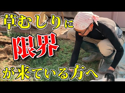 子どもたちを庭で忙しくさせるにはどうすればよいでしょうか?