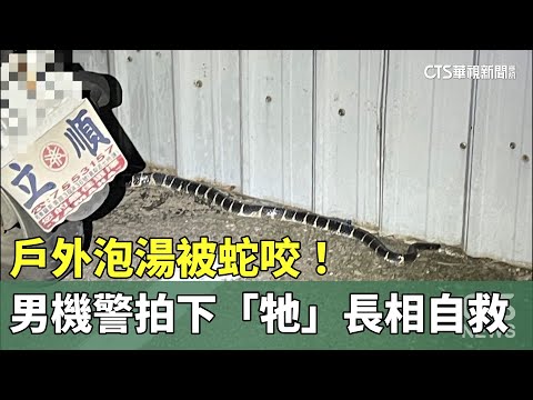 戶外泡湯被蛇咬！　男機警拍下「牠」長相自救