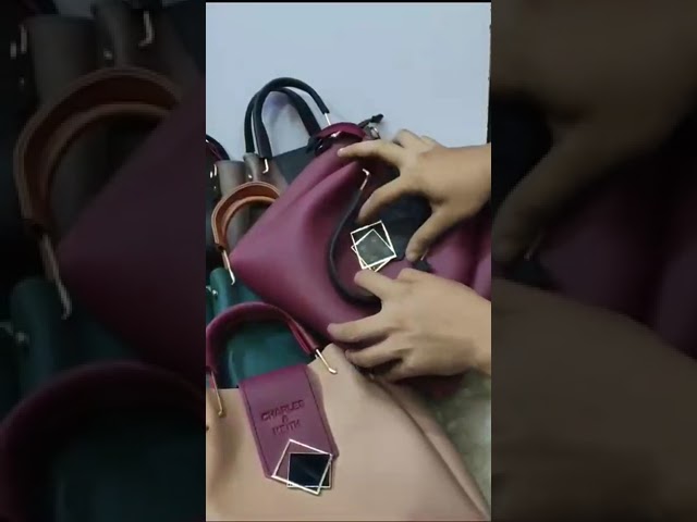 CHARLES & KEITH Ladies Bag Price in Pakistan