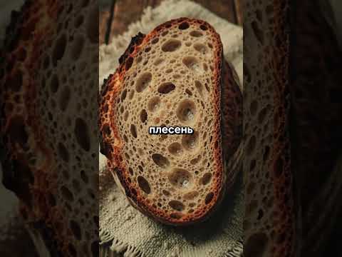 Почему хлеб на Руси не плесневел неделями 🍞🌾