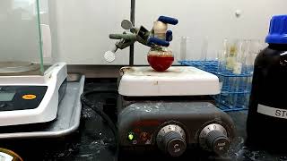 Organic 1 Lab Bromination of E Stilbene Experiment