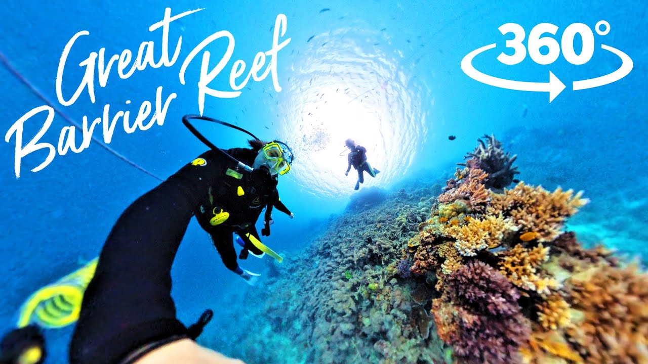 【360°VR】人生初！グレートバリアリーフでスキューバダイビング | Insta360 X4 Invisible Dive Case