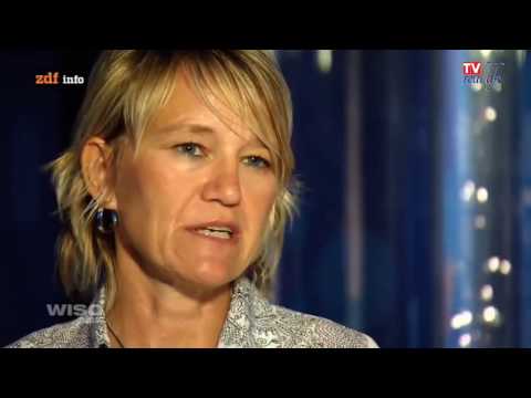 Was steckt im Wasser - WISO plus - Doku HD