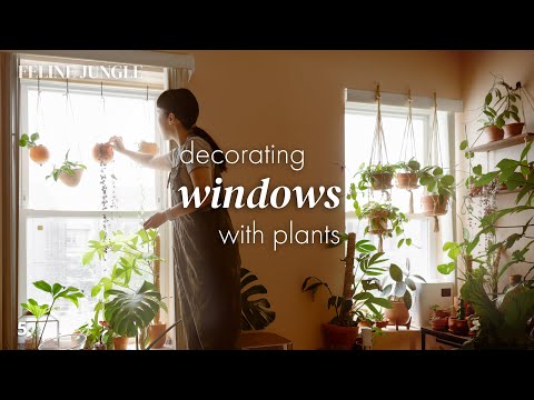 Decorating Window with Plants | DIY Window Garden Ideas | 05