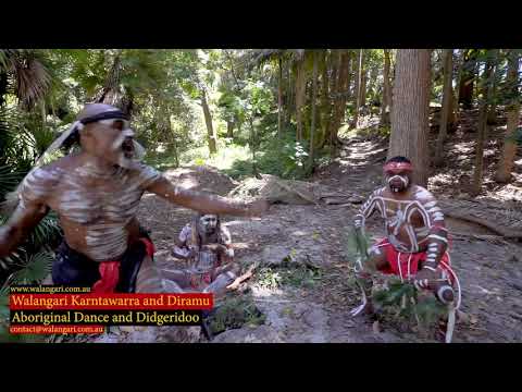 Walangari Karntawarra and Diramu Aboriginal Dance & Didgeridoo ONLINE