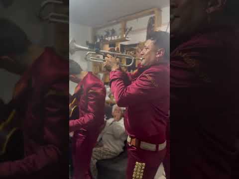 📞 321 371 9238 | Mariachis en Carolina del Príncipe Antioquia 🎺❤️
