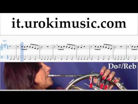 Lezioni di Corno Shawn Mendes - There's Nothing Holdin' Me Back Tutorial Spartito Parte#2 um-i276