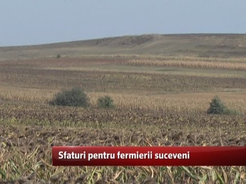 Sfaturi pentru fermierii suceveni