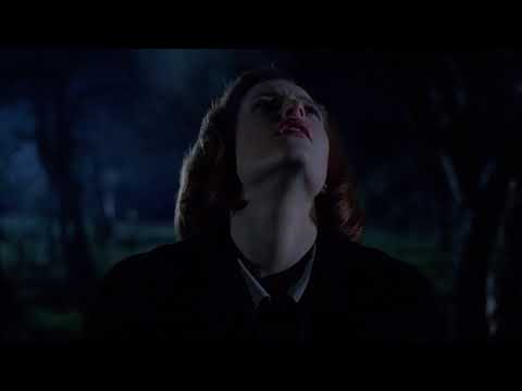 Mulder & Scully " ...boyish agility turning you on at all?" (5x09)