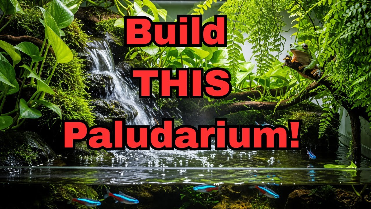 Building a Paludarium Tank: The Ultimate Guide to Waterfalls, Plants & Animals