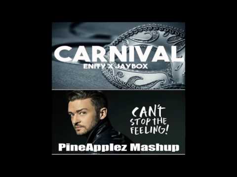 Enity X Jaybox vs Justin Timberlake - Can't Stop the Carnival Feeling (PineApplez Mashup)