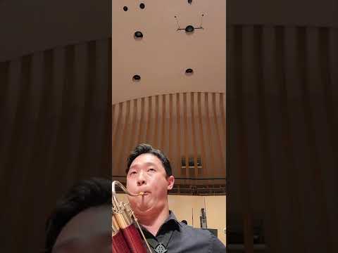 britten young person's guide to the orchestra bassoon solo                              브리튼 바순 솔로