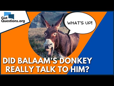 Did Balaam’s donkey really talk to him? | GotQuestions.org