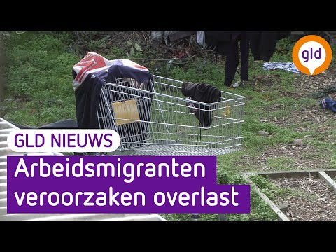 GLD Nieuws 13 december 2022