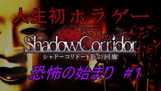 【Shadow corridor】暑い夏にはホラゲーでヒヤッと！？