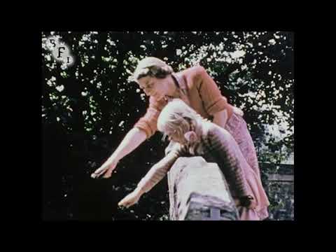 Yorkshire Moors (1950) | BFI National Archive