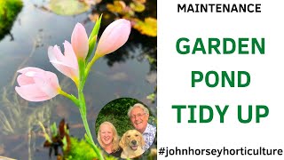 HOW TO TIDY YOUR GARDEN POND PLANTS - TIDYING UP YOUR GARDEN POND