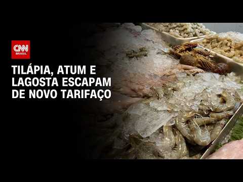 Tilápia, atum e lagosta: veja pescados que escaparam do tarifaço dos EUA | CNN 360°