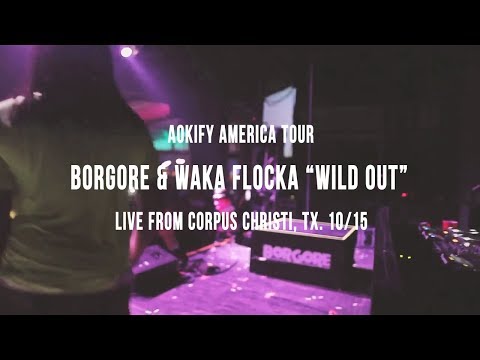 Borgore & Waka Flocka Flame on Aokify America Tour - "Wild Out" (Live Video) | Dim Mak Records