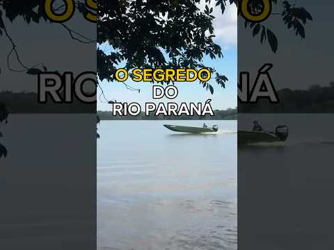 O segredo mais bonito de Altônia, Paraná! #rioparana #altoniaparana #shorts