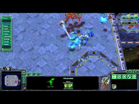 WinterSC Quick Tips #10 - Zerg - Using Muta/Ling in ZvP