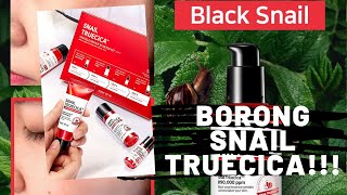 Download lagu BORONG SNAIL TRUECICA STARTER KIT MUMPUNG MURAH!!! mp3 Download lagu BORONG SNAIL TRUECICA STARTER KIT MUMPUNG MURAH!!! mp3