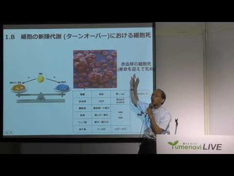 生命科学部　授業紹介（細胞の死の物語〜私たちの生を支える細胞死〜）