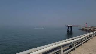 "충청남도 서천군 홍원항 바다 쭈꾸미"#홍원항#홍원항쭈꾸미#쭈꾸미낚시#홍원항바다#홍원항맛집#홍원항수산시장#홍원항횟집#서천군홍원항#홍원항낚시#바닷가뷰#바다소리#충청도바닷가#쭈꾸미어선