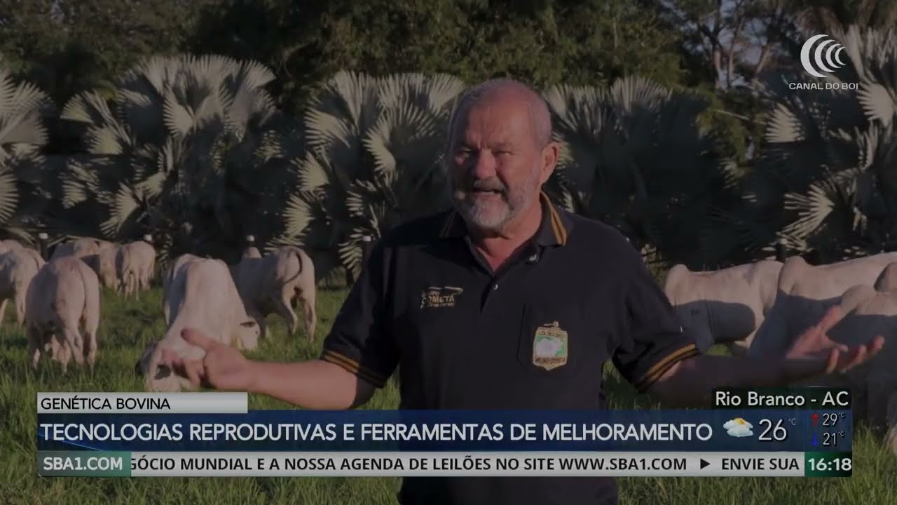 Tecnologias reprodutivas e ferramentas de melhoramento genético