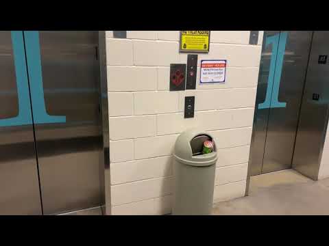 The second bank of elevators at the 11th and Marquette parking ramp in Minneapolis minnesota