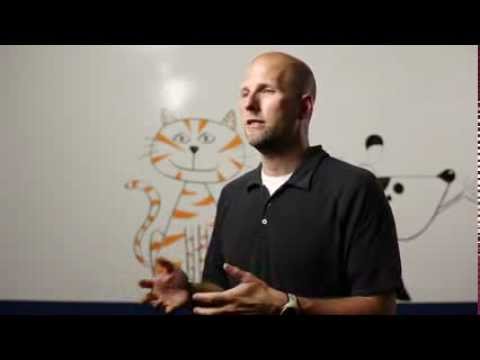 Foxtails and Pets: Veterinarian Explains the Dangers