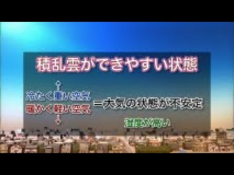 レリオンについて詳しく解説
