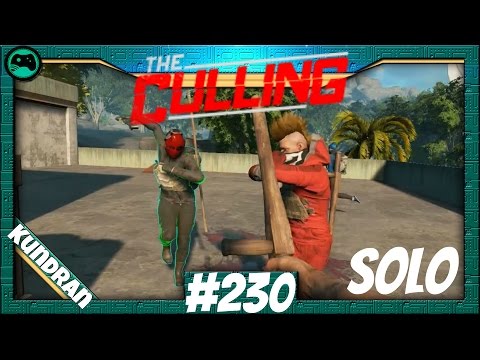 The Culling | Wir brauchen ein neues Klavier | #230 Let's Play german/deutsch