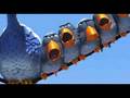 For The Birds