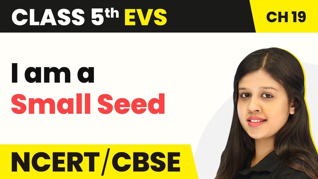 Class 5 EVS Chapter 19 | A Seed Tells a Farmer’s Story - I am a Small Seed | Class 5 EVS NCERT